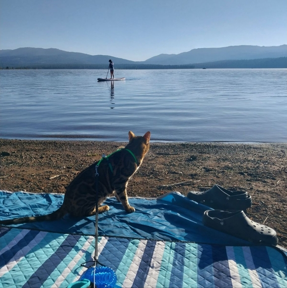 Clothes, Shoes , Randoms... - Picture 3 of 4